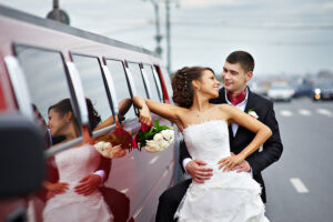 Wedding Limo Designated Driver for Napa & Sonoma Wine Tasting Tours, Napa Sonoma Wine Tasting Driver (707)536-1939